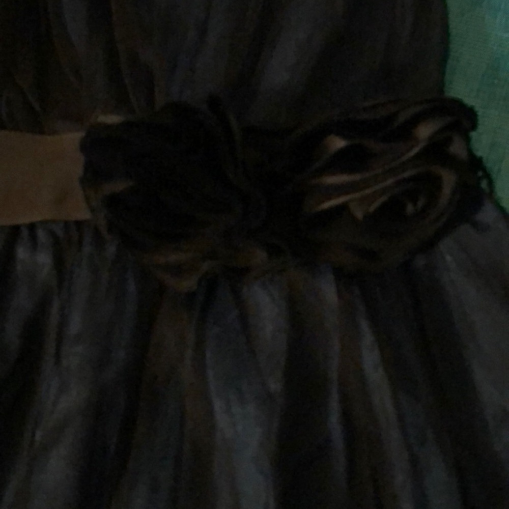 Anthropologie dress blue with black overlay - Picture 4 of 8